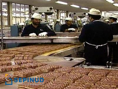 Pre-Feasibility Study for industrial bread and sweetmeat production complex